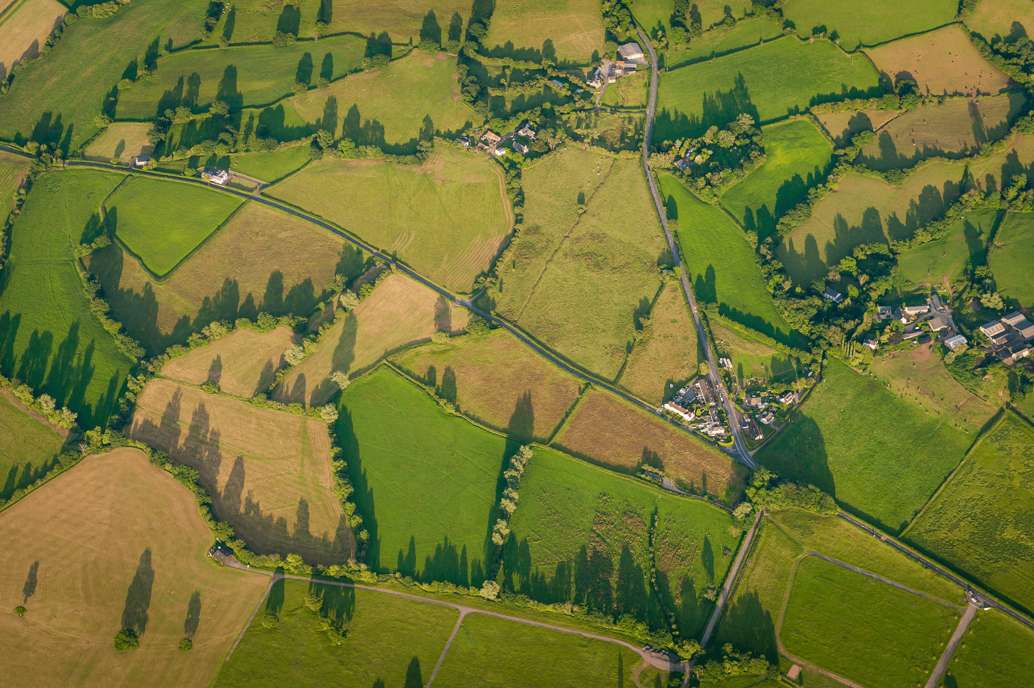 Aerial view of patchwork green fields, hedgerows and farmland