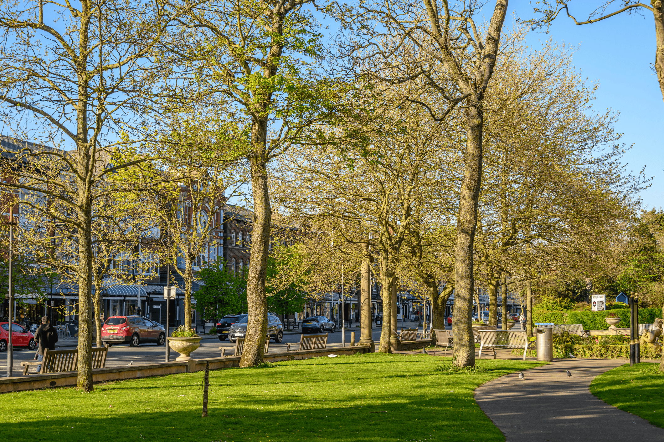 Tree-lined town green with mature trees, benches and a path beside a high street
